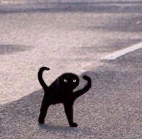 a cursed black cat with two tails and two feet