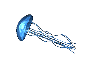 blue jellyfish