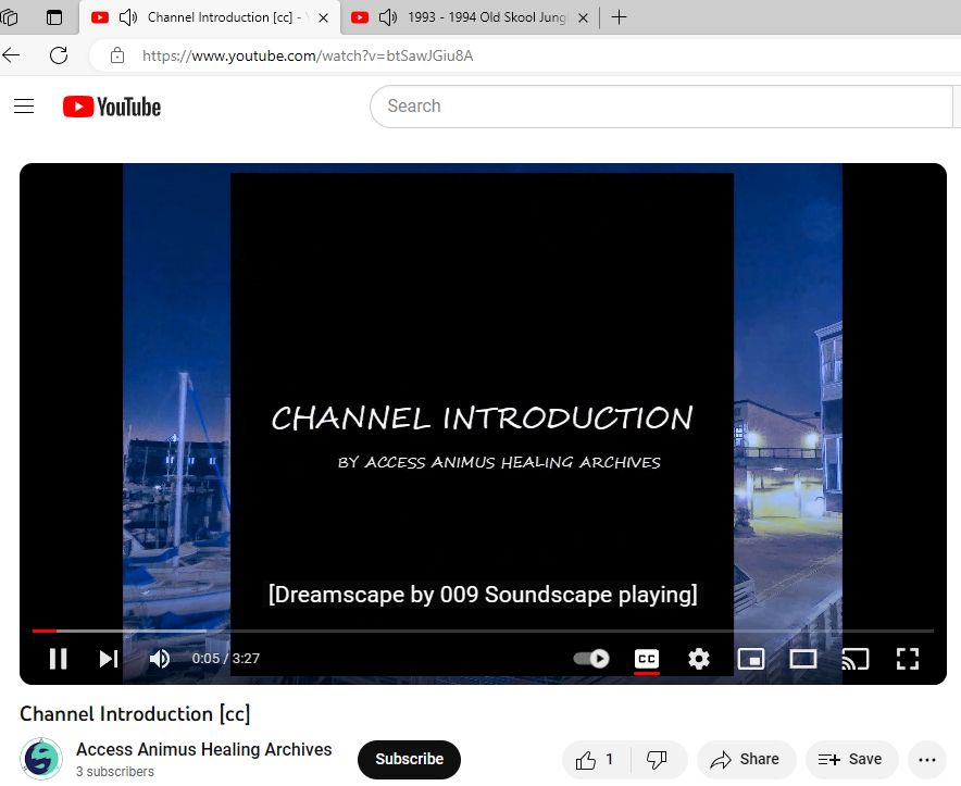 poorly cropped screen shot of the Access Animus Healing Archives YouTube channel's first video
